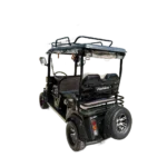 Rear angled view of black electric passenger tricycle with spare tire and roof rack