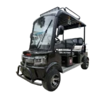 Black electric tricycle with roof canopy and compact passenger transport design