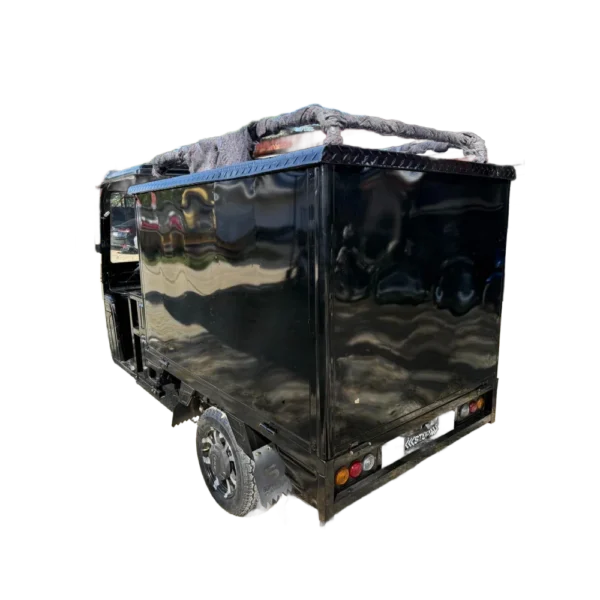 electric-passenger-tricycle-enclosed-rear-angled