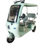 Green electric passenger tricycle with canopy and eco-friendly transport design