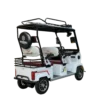 Electric tricycle with rear cargo rack and spare tire for passenger and utility use