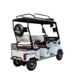 Electric tricycle with rear cargo rack and spare tire for passenger and utility use