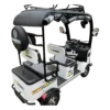 Side and rear view of electric passenger tricycle showing step access and passenger seating